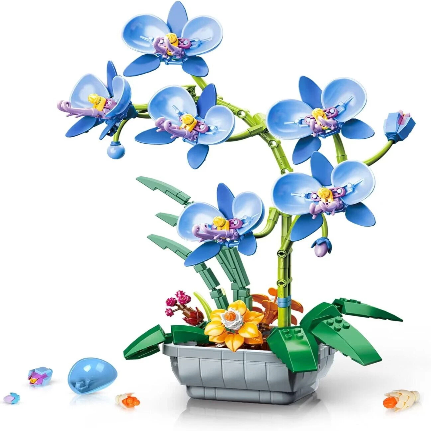 Modra orhideja - slika 9